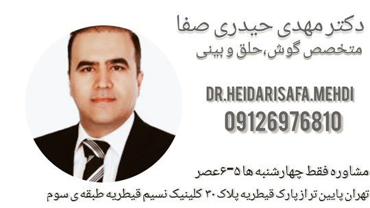 Dr. Mehdi Heydari Safa