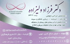 Dr. Farzad Valizadeh