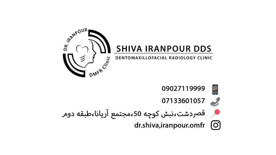 Dr. shiva Iranpour