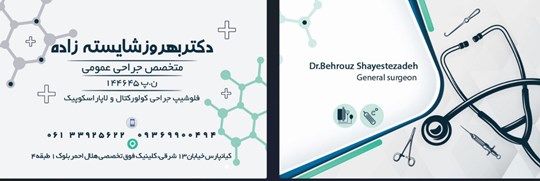 Dr. Behrouz Shayestezadeh